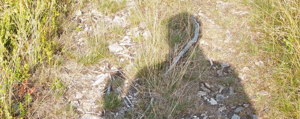 Schatten